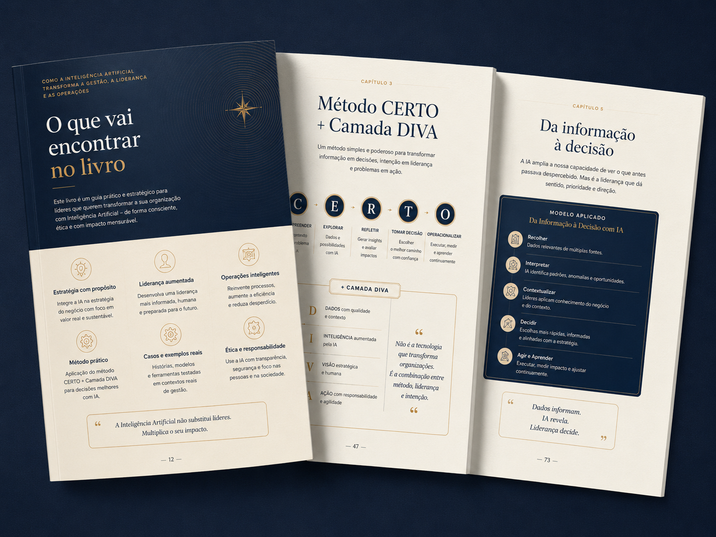 Amostra real de três páginas do interior do livro: O que vai encontrar no livro, Método CERTO mais Camada DIVA e Da informação à decisão